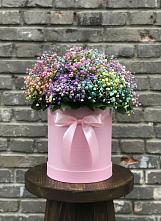 Цветочная композиция из Гипсофила и Розы в шляпной коробке в Колычево