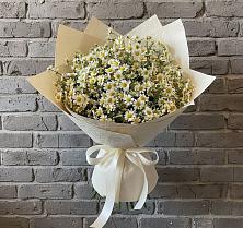 Букет цветов из:  Ромашки в Колычево