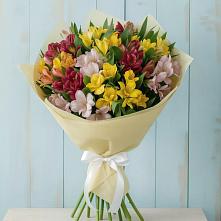 Букет цветов из:  Альстромерии в Колычево