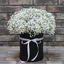 Цветочная композиция из Гипсофила в шляпной коробке #REPLACE_PRED# Колычево