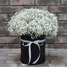 Цветочная композиция из Гипсофила в шляпной коробке в Колычево