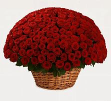 Премиум букет из: Розы в Колычево