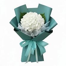 Букет цветов из:  Гортензия в Колычево